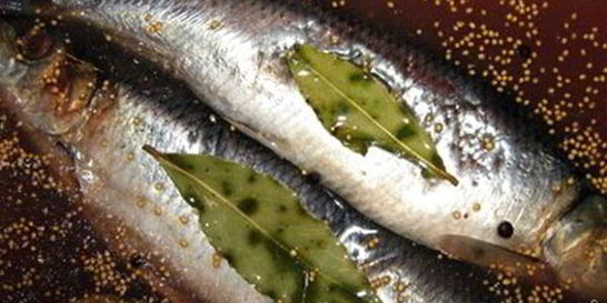 Соленая сельдь