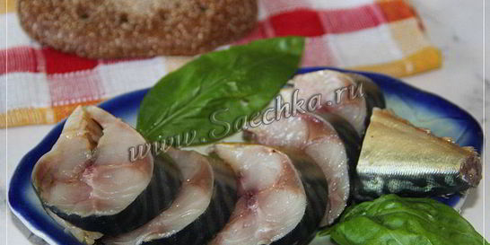 Соленая скумбрия