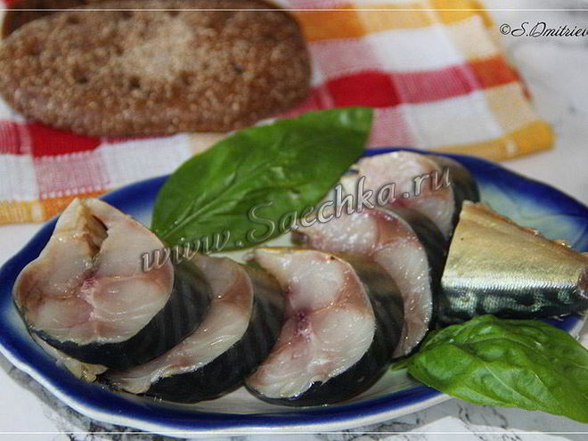 Рецепт соленой скумбрии