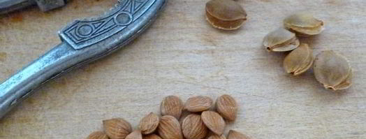 абрикосовое варенье с какао и сливочным маслом. Шаг 4