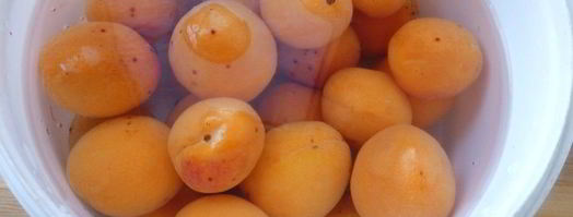 абрикосовое варенье с ядрами косточек. Шаг 2