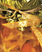 Варенье из апельсинов