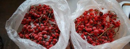 варенье из красной рябины. Шаг 3