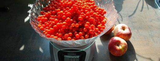 варенье из красной рябины. Шаг 4