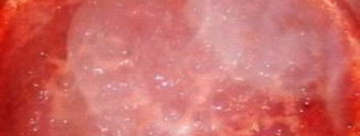 земляничное варенье через блендер. Шаг 3