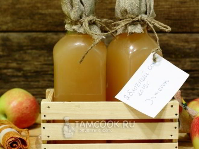 Рецепт яблочного сока через соковыжималку