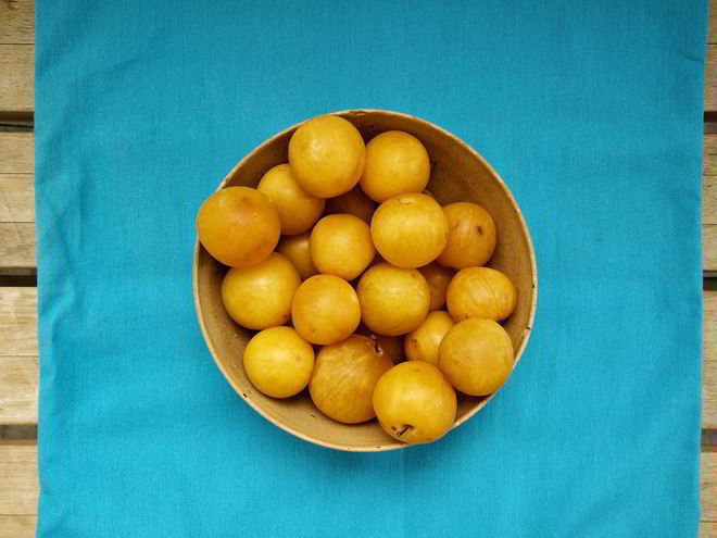 Рецепт заготовок из алычи