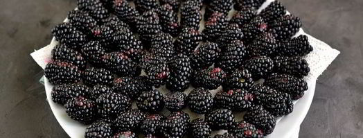 заморозка ежевики на зиму. Шаг 6