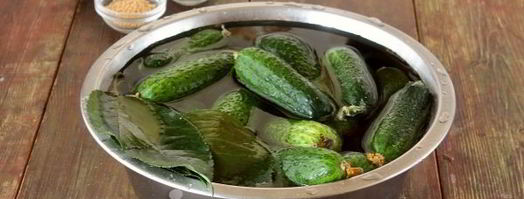 засолка хрустящих огурцов на зиму. Шаг 4