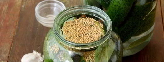 засолка хрустящих огурцов на зиму. Шаг 8