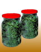 Засолка укропа в банках