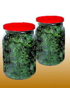 Засолка укропа в банках