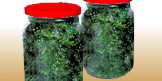 Засолка укропа в банках