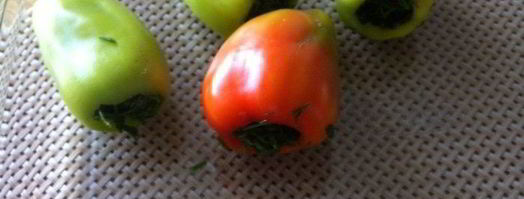 зелень на зиму. Шаг 3