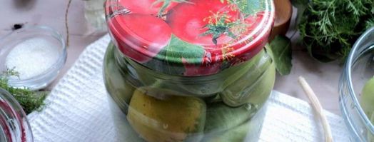 зеленые помидоры на зиму. Шаг 8