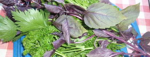 буйство цвета с печеными баклажанами. Шаг 6