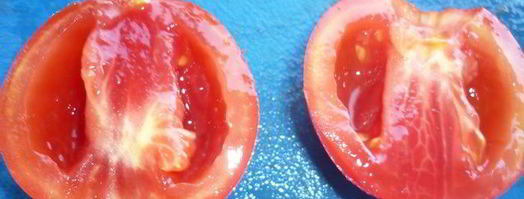 буйство цвета с печеными баклажанами. Шаг 8