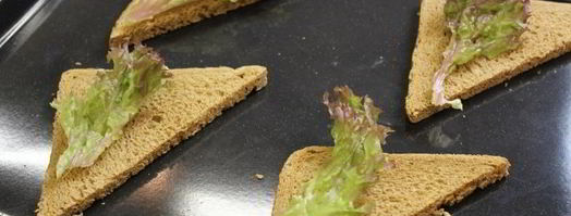 горячие бутерброды. Шаг 2