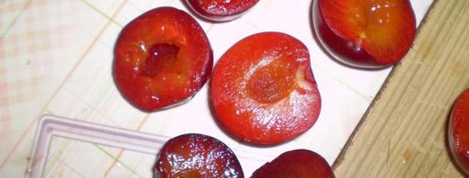 грузинская закуска на баклажанах со сливами. Шаг 7