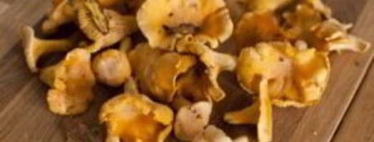 омлет с лисичками. Шаг 2