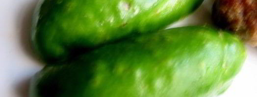 омлет с тефтельками мишка под одеялом. Шаг 19