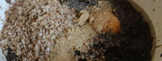 паштет из лесных грибов с гречневыми хлопьями. Шаг 3