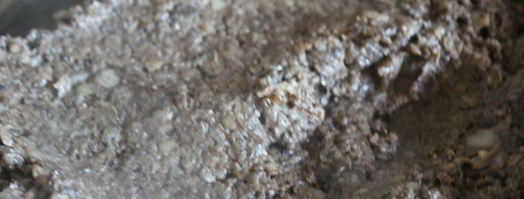 паштет из лесных грибов с гречневыми хлопьями. Шаг 6