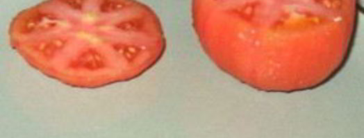 помидор, фаршированный тунцом. Шаг 2