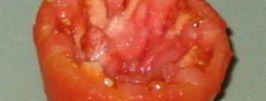 помидор, фаршированный тунцом. Шаг 3