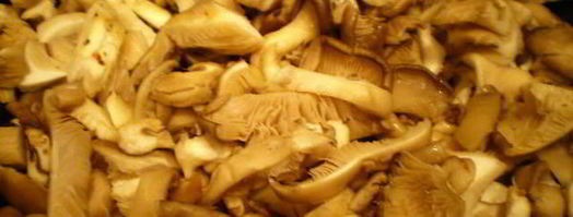 мясные роллы в винно-грибном соусе. Шаг 15