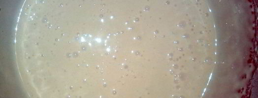 бисквитный рулет на сгущенном молоке. Шаг 5