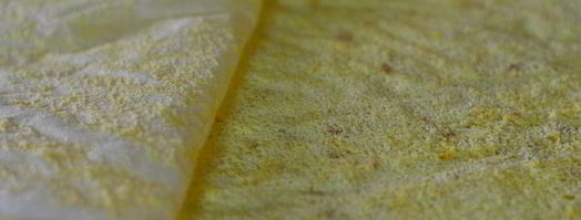 рулет вишня в белом шоколаде. Шаг 12