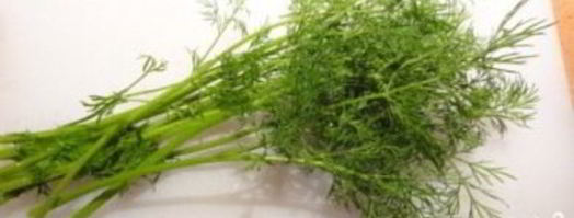 сырные рулетики с семгой. Шаг 3