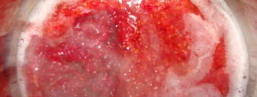 сырные шарики с начинкой в ореховой панировке под пьяной клюквой. Шаг 11