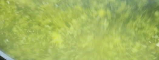 лимонный тарт. Шаг 4