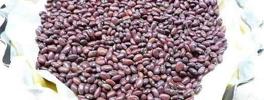 вишневый тарт с лаймом и заварным кремом. Шаг 9